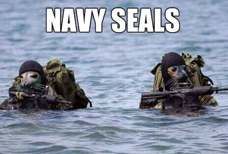Seals